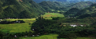 mai-chau-green-forest